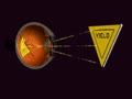 Visual receptors